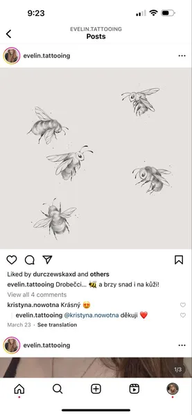 Animal