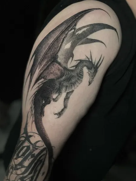 Dragon, 드래곤 라이더