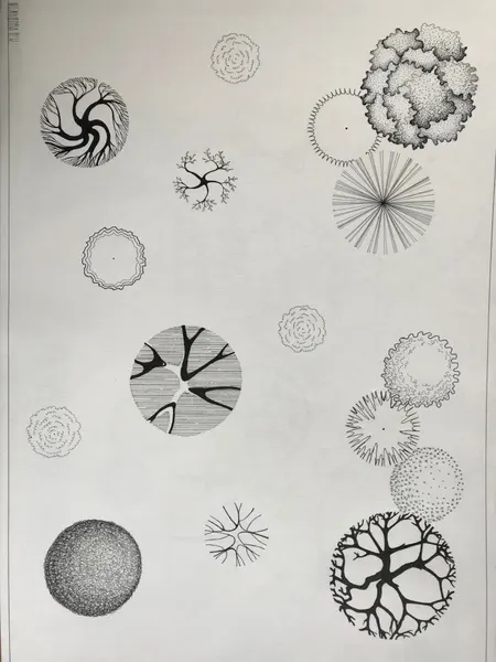 Pattern