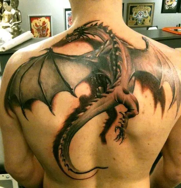 드래곤 라이더, Dragon