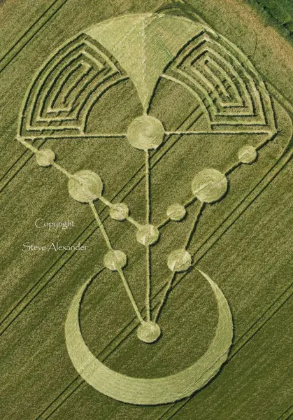 Pattern