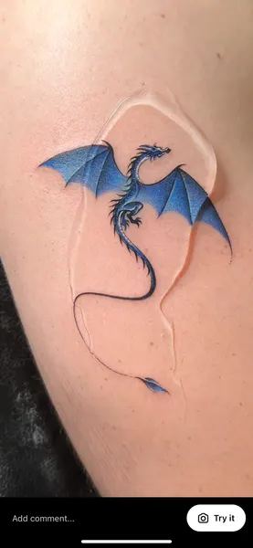 Dragon, 드래곤 라이더