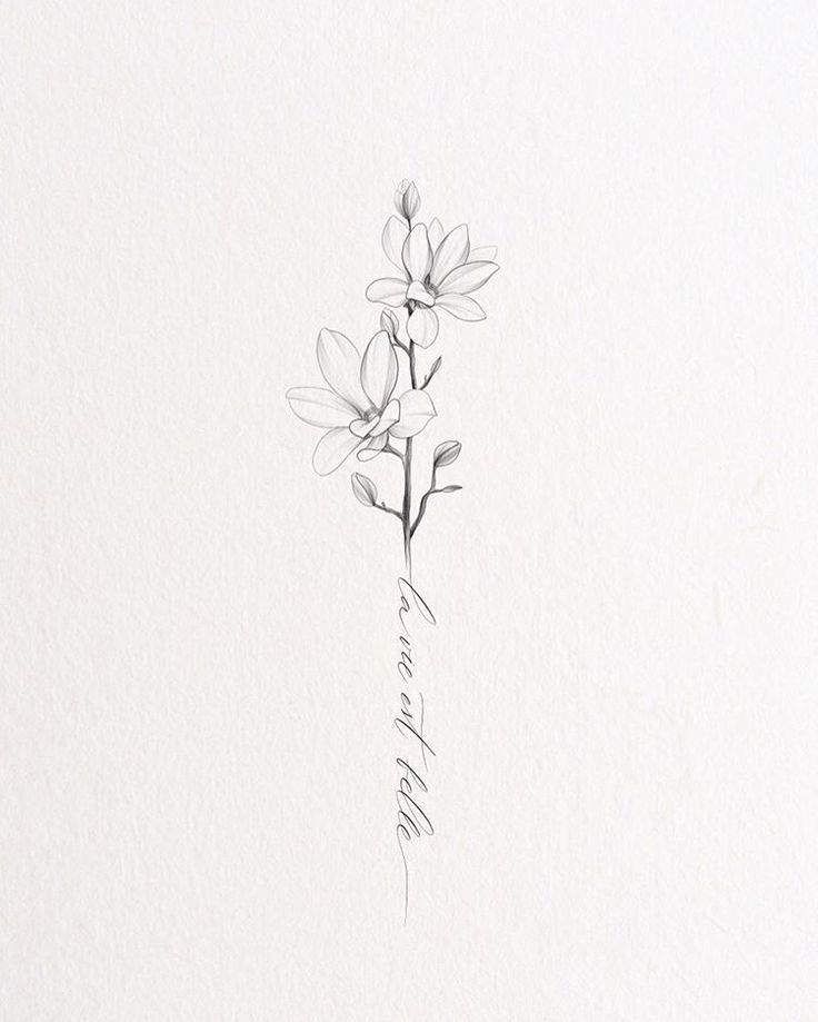 Flower, Nature