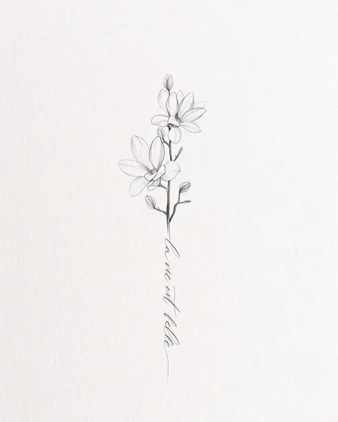 Flower, Nature