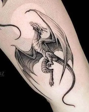 Dragon, 박쥐