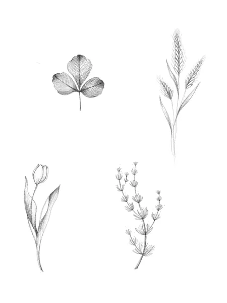flowers tattoo
