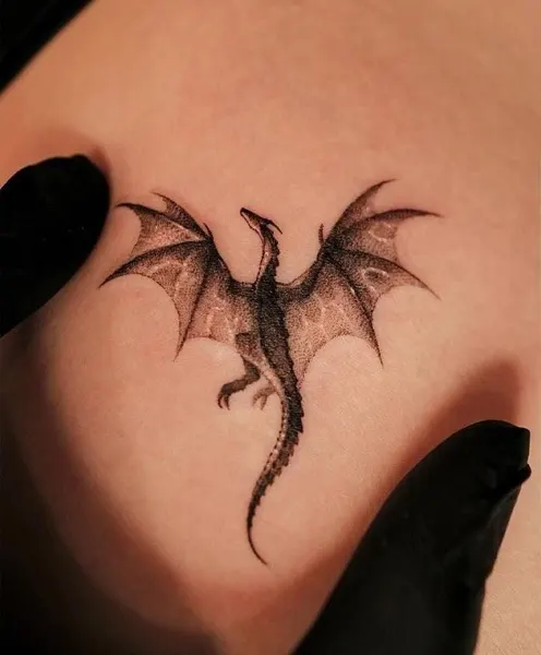 Dragon, 드래곤 라이더