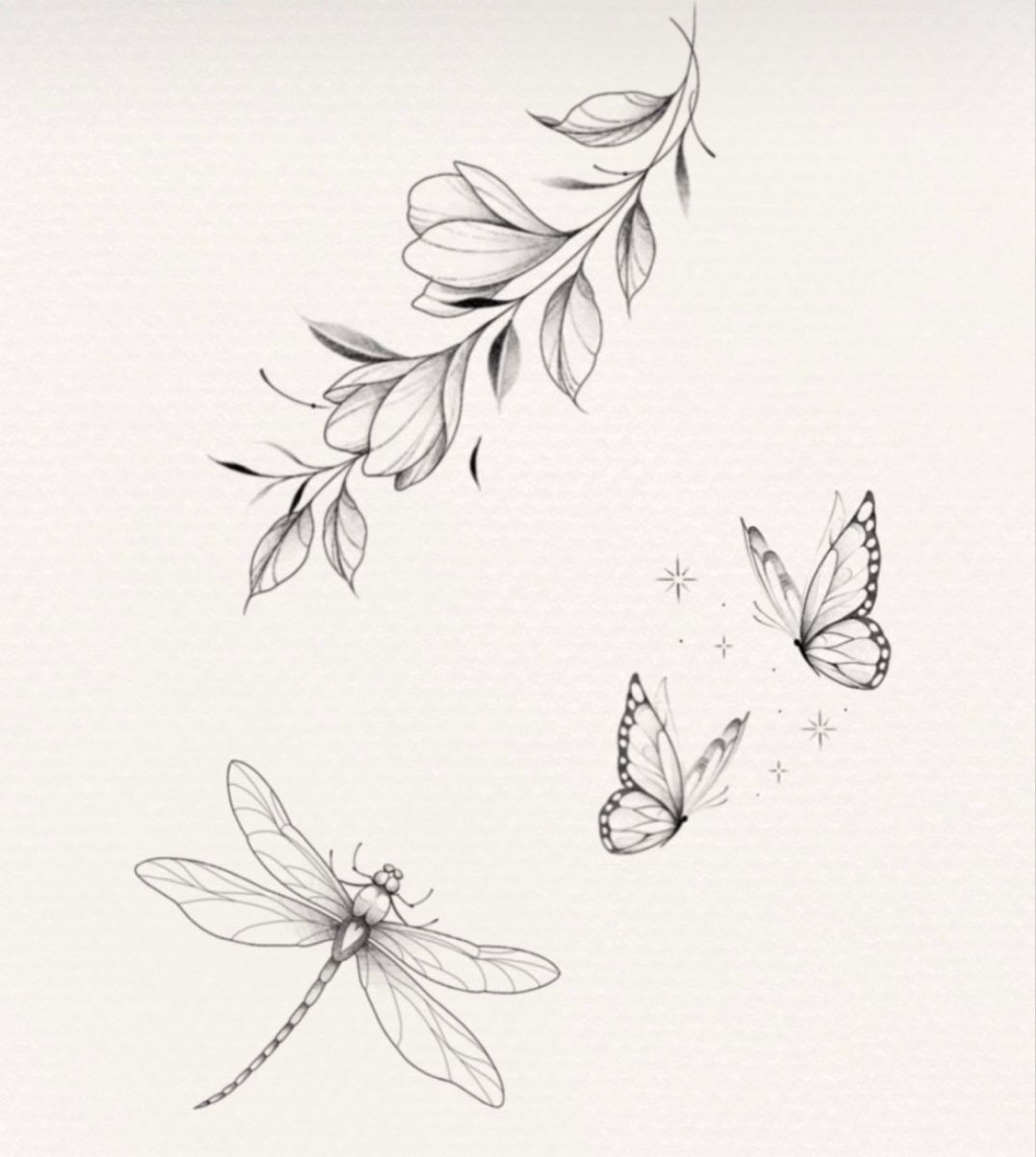 Animal, Nature
