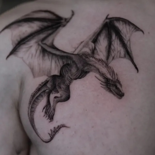 드래곤 라이더, Dragon