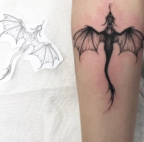Dragon, 박쥐