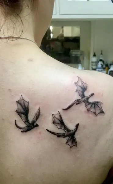박쥐, Dragon