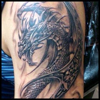 Dragon, 드래곤 라이더, 한국 용, 중국 용
