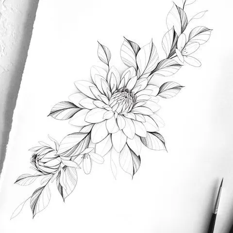 Flower, Rose