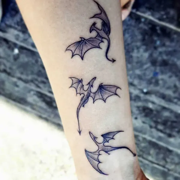 박쥐, Dragon