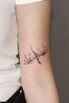 바람, Dragon, 덩굴, 나뭇가지, 올리브 가지, 가시철사