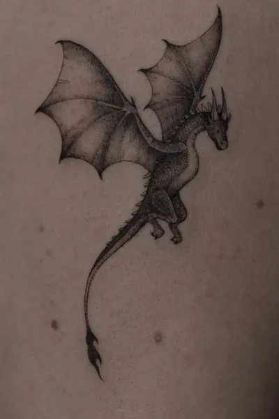 Dragon, 드래곤 라이더