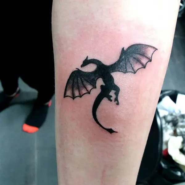 Dragon, 박쥐