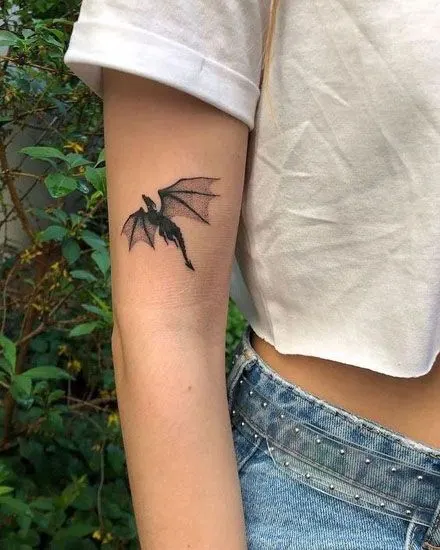 거미, 박쥐, Dragon, 뱀파이어, 함사, 까마귀