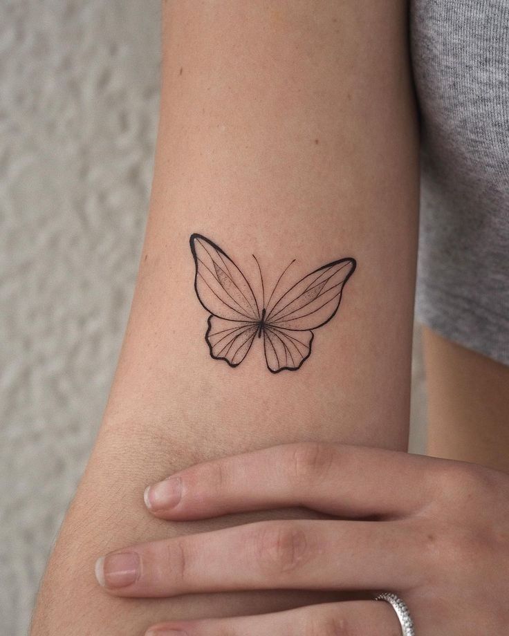 Nature, Animal, 나방