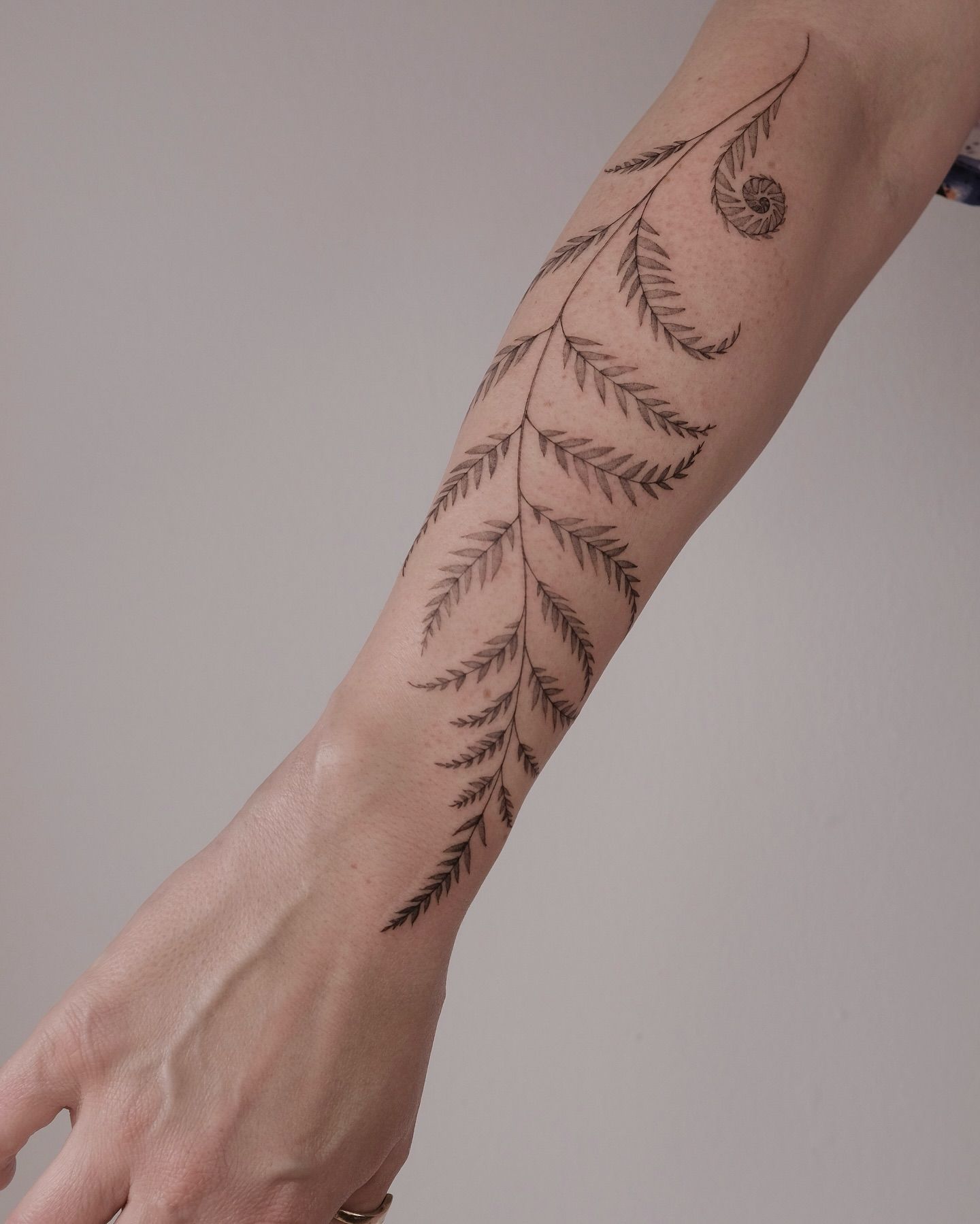 Flower, 잎, 패턴, 고사리, 단풍잎, 대나무, 소나무, 실루엣, 야자수, 파도 문양, Nature, 그래픽, 오너멘탈