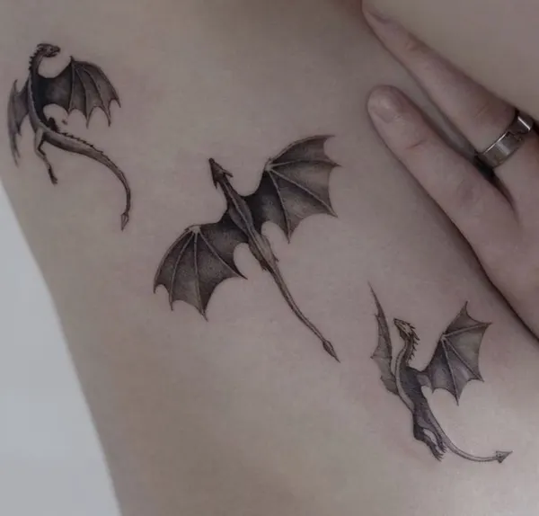 Dragon, 박쥐