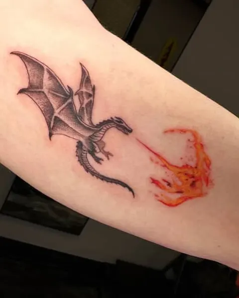 박쥐, Dragon, 뱀파이어