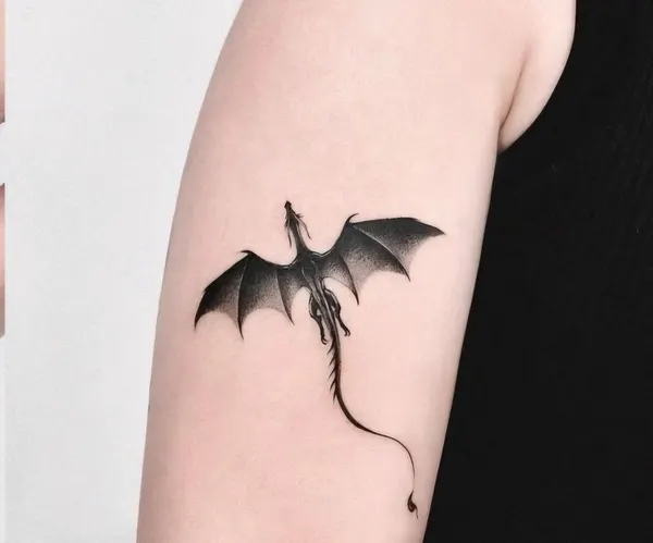 박쥐, Dragon, 뱀파이어