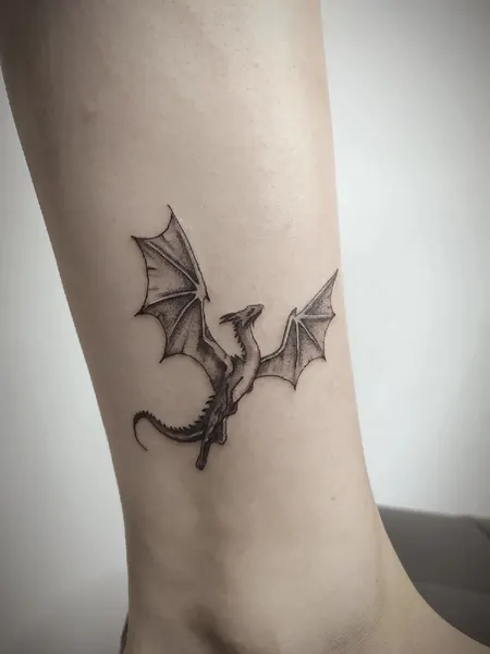박쥐, Dragon