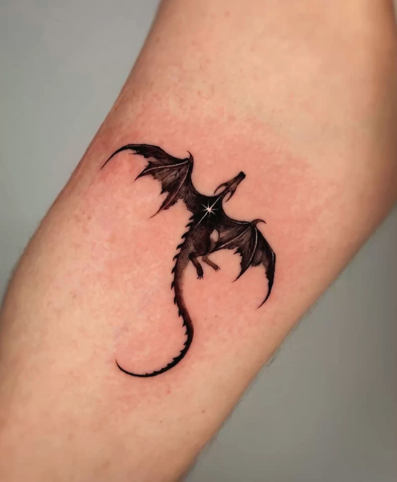 박쥐, Dragon, 괴물, 뱀파이어, 악마, 다크 판타지