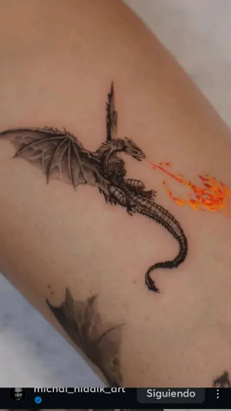 Dragon, 판타지, 드래곤 라이더, 불꽃