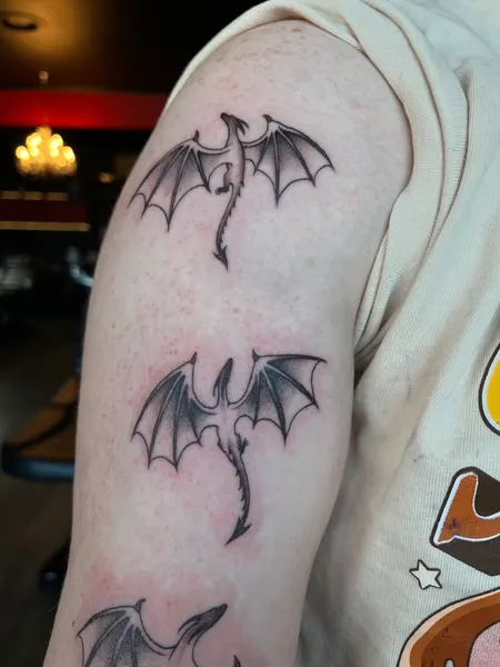 박쥐, Dragon