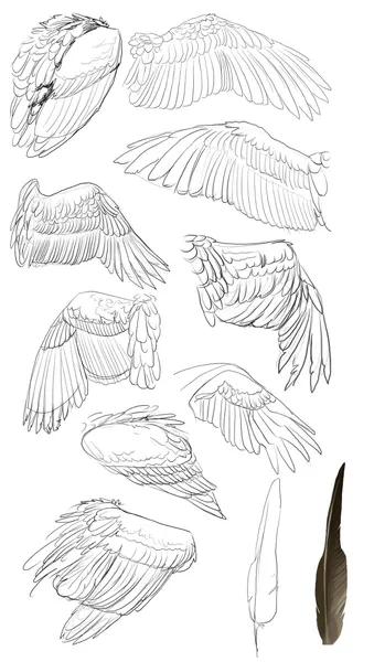 angel tattoos