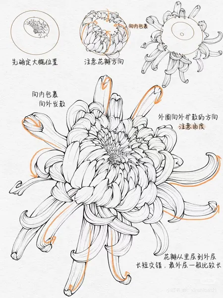 flowers tattoo