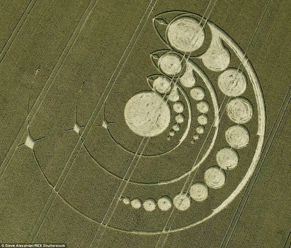 Pattern