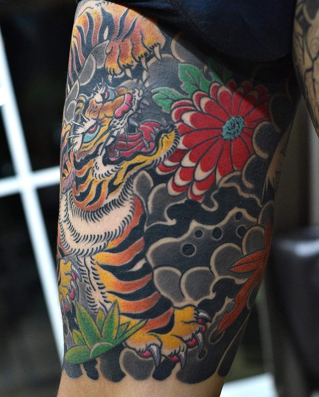 Tiger, 일본 단풍