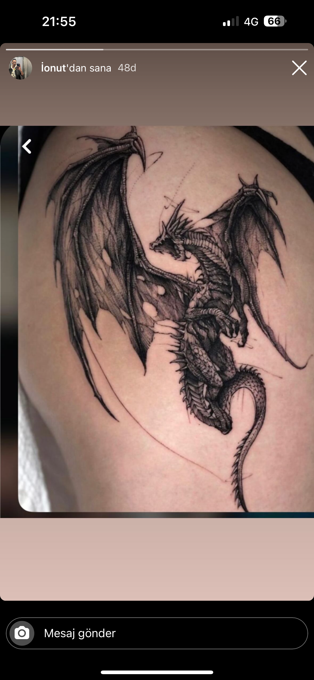 Dragon, 케르베로스, 드래곤 라이더, 한국 용, 중국 용