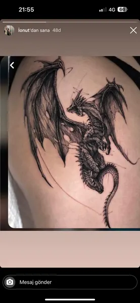 Dragon, 케르베로스, 드래곤 라이더, 한국 용, 중국 용